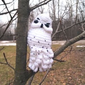 White Specled Owl